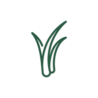 Echte Naturborsten